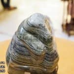 cảnh Canxedon xanh cho mệnh Mộc, Hỏa (3)
