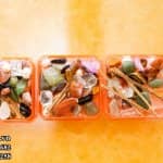 Cốt thất bảo (1)