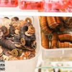 Dây Treo Chuỗi Đồng Tiền Xu Ngũ Đế Phong Thủy (5)